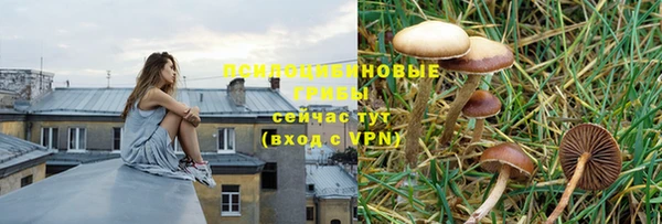 метадон Беломорск