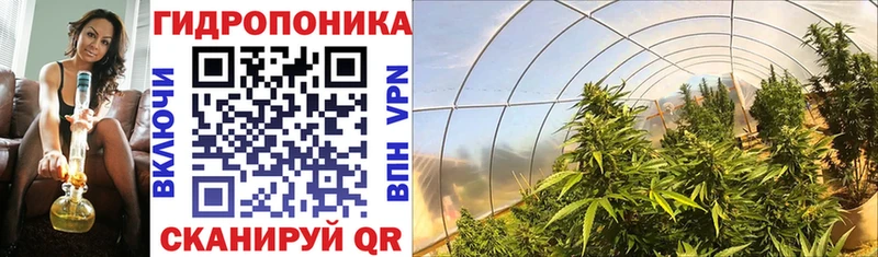 Марихуана SATIVA & INDICA  купить наркотики сайты  Семикаракорск 